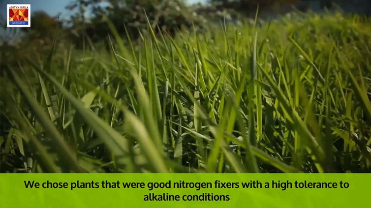 hindalco-biodiversity.jpg